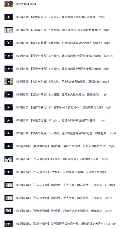 《20节社群赚钱全攻略》【完结】-AI创作学习-提示词应用-短视频玩法野草AI资源学习网