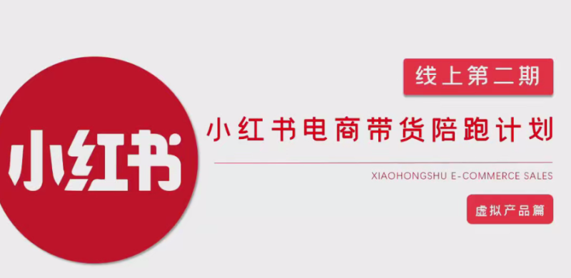 小红书电商带货第二期，有货源，无货源，虚拟产品，付费投流...等-AI创作学习-提示词应用-短视频玩法野草AI资源学习网