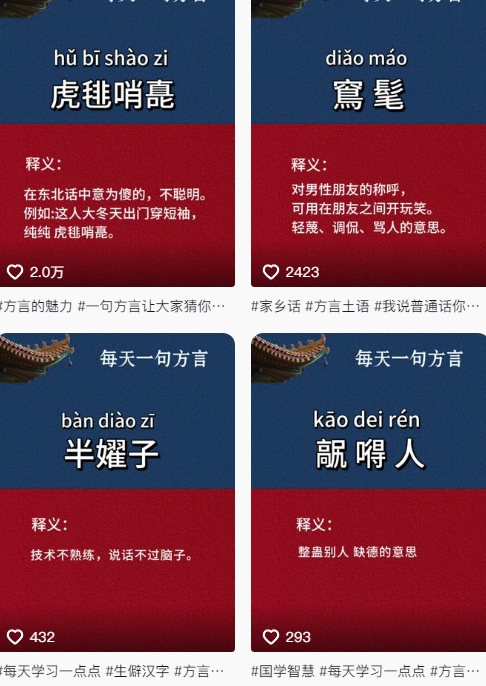 抖音最新涨粉玩法，【方言】图文暴力涨粉实操，126作品涨粉11W-AI创作学习-提示词应用-短视频玩法野草AI资源学习网