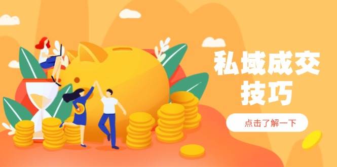 私域成交技巧，帮你从入门到精通，破解四大痛点，快速变现，轻松收钱-AI创作学习-提示词应用-短视频玩法野草AI资源学习网