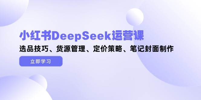 小红书DeepSeek运营课，选品技巧、货源管理、定价策略、笔记封面制作-AI创作学习-提示词应用-短视频玩法野草AI资源学习网