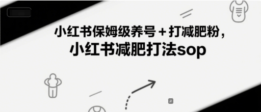 小红书减肥账号：保姆级养号+打减肥粉，小红书减肥打法sop【27分钟直播讲解】-AI创作学习-提示词应用-短视频玩法野草AI资源学习网