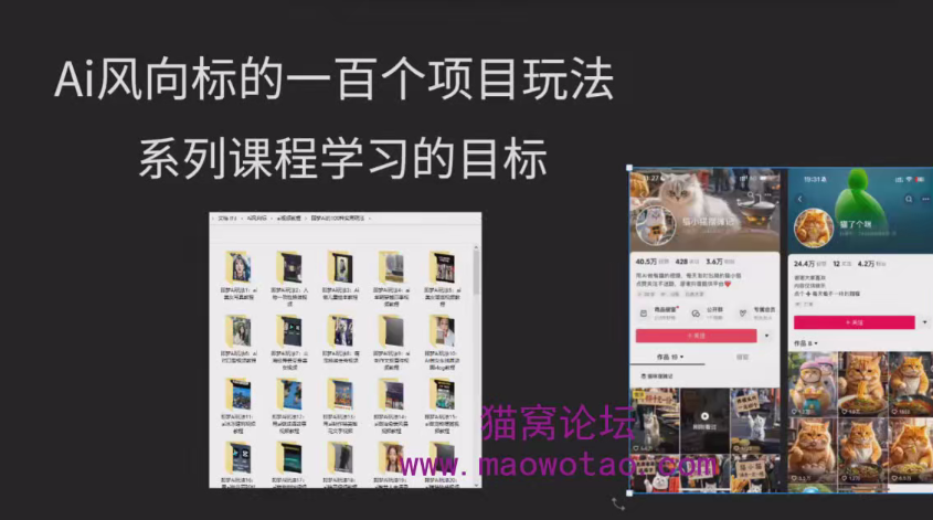 AI风向标：AI视频商业应用教学，附100种项目案例玩法-AI创作学习-提示词应用-短视频玩法野草AI资源学习网