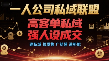 肖厂长：一人公司私域联盟，高客单私域，强人设成交，建私域 搞发售 广结盟 造势能-AI创作学习-提示词应用-短视频玩法野草AI资源学习网