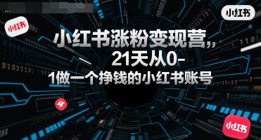 小红书涨粉变现营，21天从0-1做一个挣钱的小红书账号-AI创作学习-提示词应用-短视频玩法野草AI资源学习网