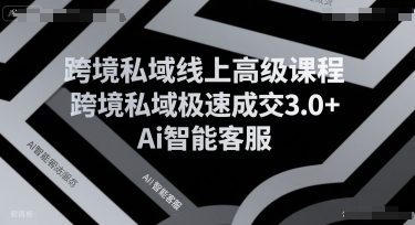 跨境私域线上高级课程，跨境私域极速成交3.0+Ai智能客服-AI创作学习-提示词应用-短视频玩法野草AI资源学习网