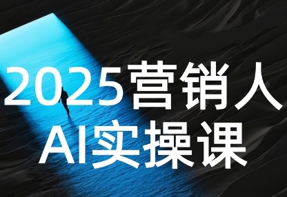 2025营销人Al实操课，AI营销抢跑实战，从Prompt到方案，效率碾压同行-AI创作学习-提示词应用-短视频玩法野草AI资源学习网