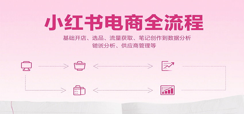 菲菲：小红书电商全流程，基础开店、选品、流量获取、笔记创作到数据分析、供应商管理等-AI创作学习-提示词应用-短视频玩法野草AI资源学习网