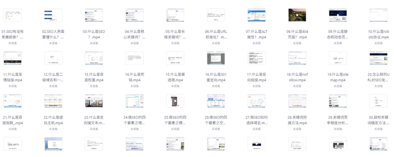 零基础SEO优化课程，手把手教你做SEO优化，只讲干货-AI创作学习-提示词应用-短视频玩法野草AI资源学习网
