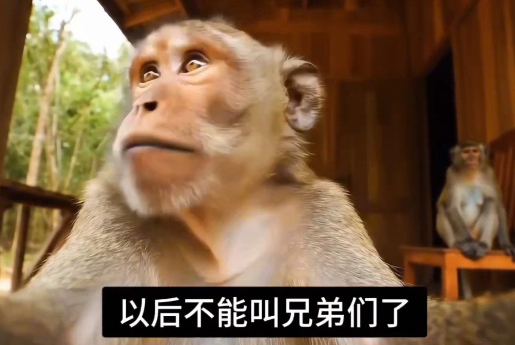 爆火的峨眉山猴子短视频制作教程，条条点赞10w+，学会后有更多思路【教程+提示词】-AI创作学习-提示词应用-短视频玩法野草AI资源学习网