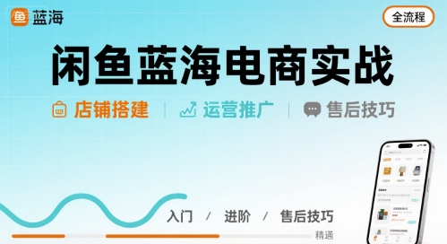 闲鱼电商实战：店铺搭建运营售后全流程-AI创作学习-提示词应用-短视频玩法野草AI资源学习网