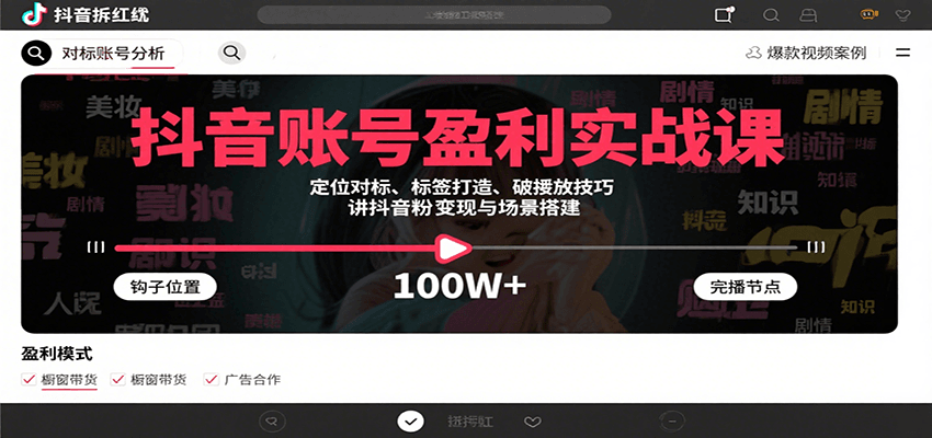 抖音账号盈利实战课：个人IP从0到1的完整运营体系，涵盖8大盈利模式定位-AI创作学习-提示词应用-短视频玩法野草AI资源学习网