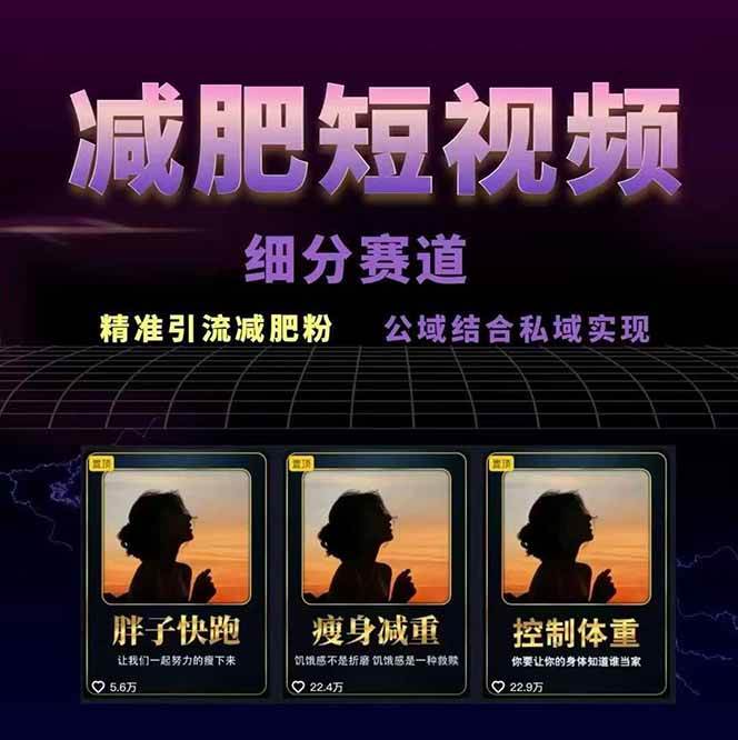 图片[2]-AI创作学习-提示词应用-短视频玩法减肥短视频运营实战课：含素材制作、剪映教学，讲精准引流、变现设计与内容模板技巧-AI创作学习-提示词应用-短视频玩法野草AI资源学习网