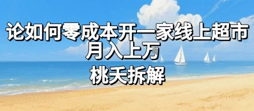 如何零成本开一家线上超市，月入上W，详细实操教学+渠道推荐-AI创作学习-提示词应用-短视频玩法野草AI资源学习网