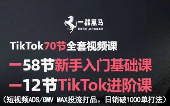 TikTok新手入门+进阶课：短视频ADS-GMV MAX投流打品，日销破1000单-AI创作学习-提示词应用-短视频玩法野草AI资源学习网