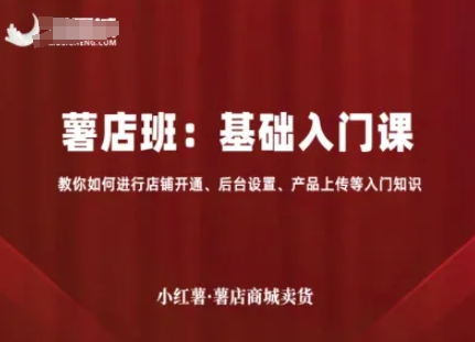 小红书电商：基础入门课+进阶流量课：店铺开通、后台设置、产品上传、选品、引流，卖货-AI创作学习-提示词应用-短视频玩法野草AI资源学习网