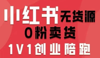 小红书无货源0粉电商课，开店准备、选品策略、笔记撰写、视频剪辑、数据分析、账号打造、资料文档-AI创作学习-提示词应用-短视频玩法野草AI资源学习网