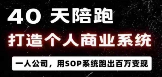 40天陪跑打造个人商业系统，一人公司，用SOP系统跑出百W变现-AI创作学习-提示词应用-短视频玩法野草AI资源学习网
