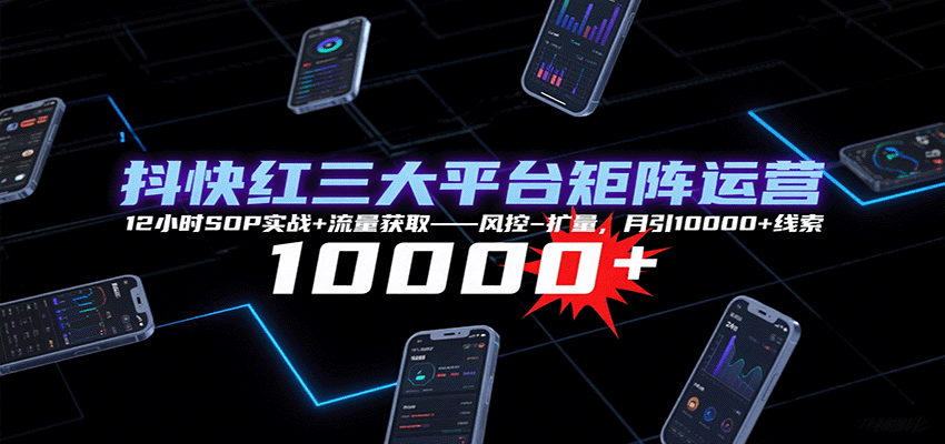 抖快红三大平台矩阵运营，12小时SOP实战+流量获取-风控-扩量，月引10000+线索-AI创作学习-提示词应用-短视频玩法野草AI资源学习网