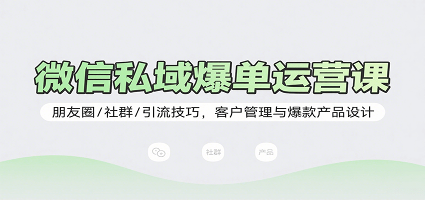 微信私域爆单运营课：朋友圈/社群/引流技巧，客户管理与爆款产品设计-AI创作学习-提示词应用-短视频玩法野草AI资源学习网