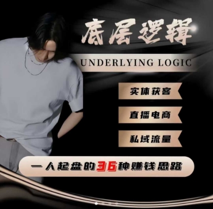 一个人起盘的底层逻辑，私域流量-直播电商-实体获客，一人起盘的36种賺钱思路-AI创作学习-提示词应用-短视频玩法野草AI资源学习网