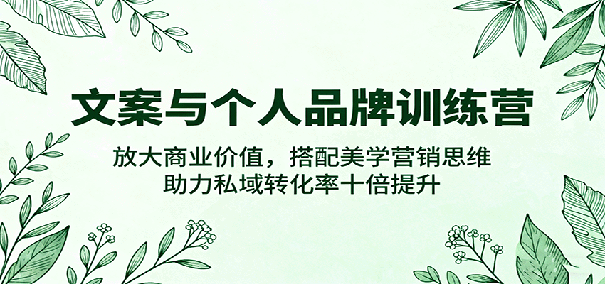 大双：文案与个人品牌训练营，放大商业价值，搭配美学营销思维，助力私域转化率十倍提升-AI创作学习-提示词应用-短视频玩法野草AI资源学习网