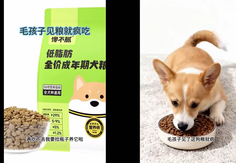 Coze工作流：一键生成“爆款宠物带货“短视频，全流程保姆级教学-AI创作学习-提示词应用-短视频玩法野草AI资源学习网