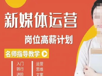 新媒体运营高薪升核培养计划，入门-转行-进阶-AI创作学习-提示词应用-短视频玩法野草AI资源学习网