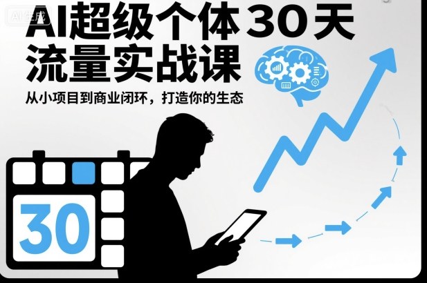 AI超级个体30天流量实战课，从小项目到商业闭环，打造你的生态-AI创作学习-提示词应用-短视频玩法野草AI资源学习网