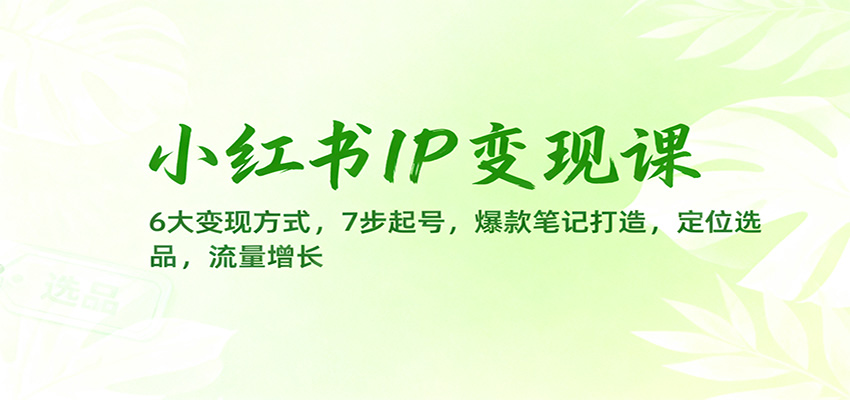 小红书IP变现课：6大变现方式，7步起号，爆款笔记打造，定位选品，流量增长-AI创作学习-提示词应用-短视频玩法野草AI资源学习网