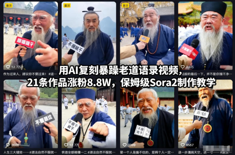 用AI复刻暴躁老道语录视频，21条作品涨粉8.8W，保姆级Sora2教学-AI创作学习-提示词应用-短视频玩法野草AI资源学习网