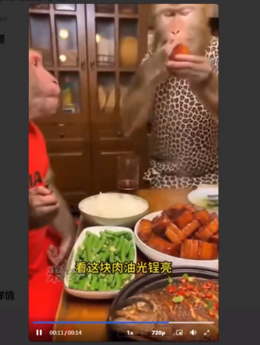 Coze工作流：一键生成“SORA2猴哥下厨“短视频，全流程保姆级教学+源码-AI创作学习-提示词应用-短视频玩法野草AI资源学习网