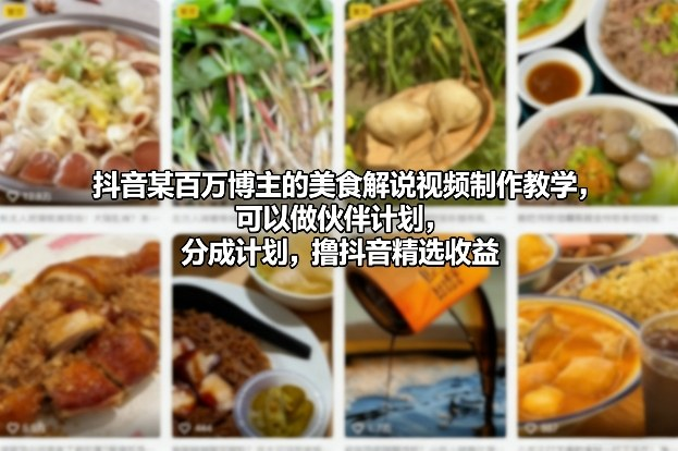 抖音某百万博主：【美食解说视频】制作教学，可以做伙伴计划，分成计划，撸抖音精选收益-AI创作学习-提示词应用-短视频玩法野草AI资源学习网