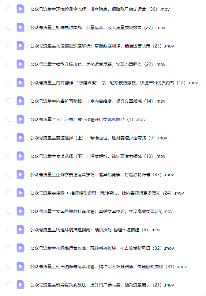 图片[3]-AI创作学习-提示词应用-短视频玩法麦子甜：公众号流量主零门槛賺钱秘籍！覆盖全环节实战技巧，IP搭建+矩阵运营，月入几个W-AI创作学习-提示词应用-短视频玩法野草AI资源学习网