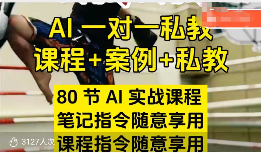 AI指令词实战课,课程+案例,80节AI实战课程,笔记指令随意享用,课程指令随意享用(更新26年3月)-AI创作学习-提示词应用-短视频玩法野草AI资源学习网
