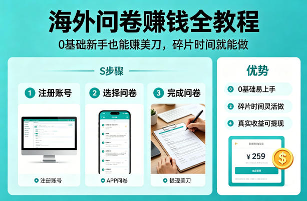 网赚项目：【海外问卷】賺钱全教程，0基础新手也能賺美刀，碎片时间就能做-AI创作学习-提示词应用-短视频玩法野草AI资源学习网