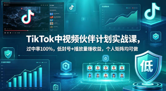 TikTok中视频伙伴计划实战课，过中率100%，低封号+播放量賺收益-AI创作学习-提示词应用-短视频玩法野草AI资源学习网