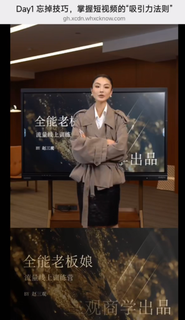 全能老板娘流量体系训练营｜3天掌握短视频吸引力+直播成交+私域矩阵-AI创作学习-提示词应用-短视频玩法野草AI资源学习网