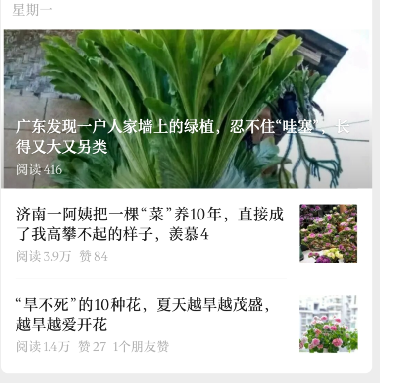 公众号流量主：【养花故事】赛道，起号快+流量稳，从0-1全流程讲解！-AI创作学习-提示词应用-短视频玩法野草AI资源学习网