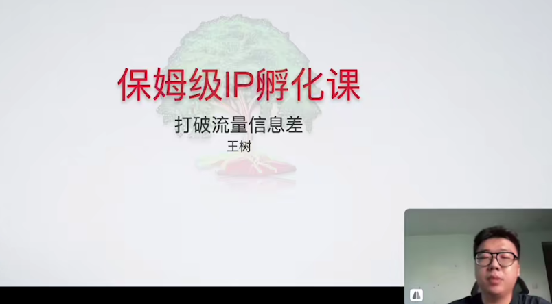 28天短视频陪跑训练营，保姆级IP孵化课，打破流量信息差，从0打造高流量账号-AI创作学习-提示词应用-短视频玩法野草AI资源学习网