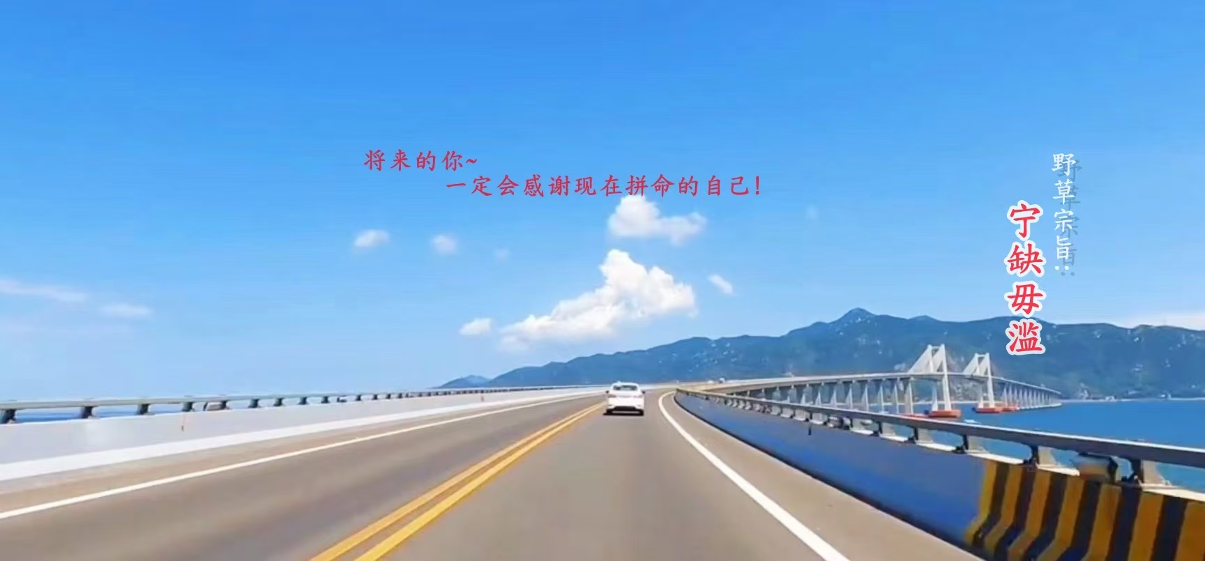 野草AI创作学习-提示词应用-短视频玩法与AI技能提升指南-自媒体运营-网赚项目