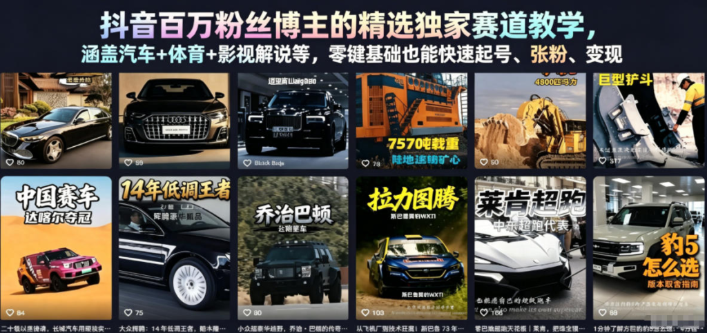 抖音百万粉丝博主：【精选独家赛道】教学，涵盖汽车+体育+影视解说等，零基础也能快速起号、涨粉、变现-AI创作学习-提示词应用-短视频玩法野草AI资源学习网