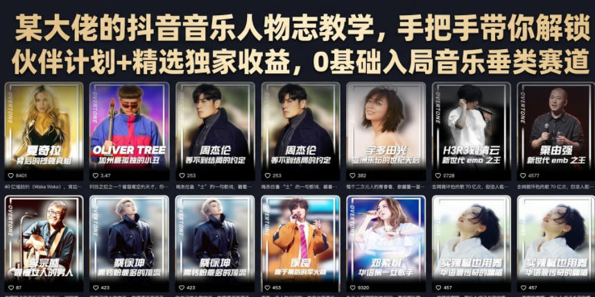 某大佬:【抖音音乐人物志】教学,手把手带你解锁伙伴计划+精选独家收益-AI创作学习-提示词应用-短视频玩法野草AI资源学习网